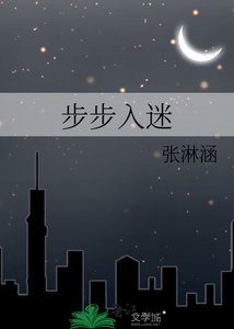 步步入迷